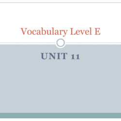 Vocabulary level e unit 5