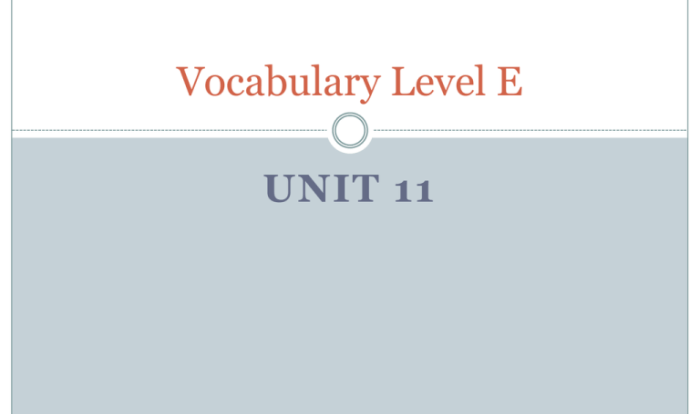 Vocabulary level e unit 5