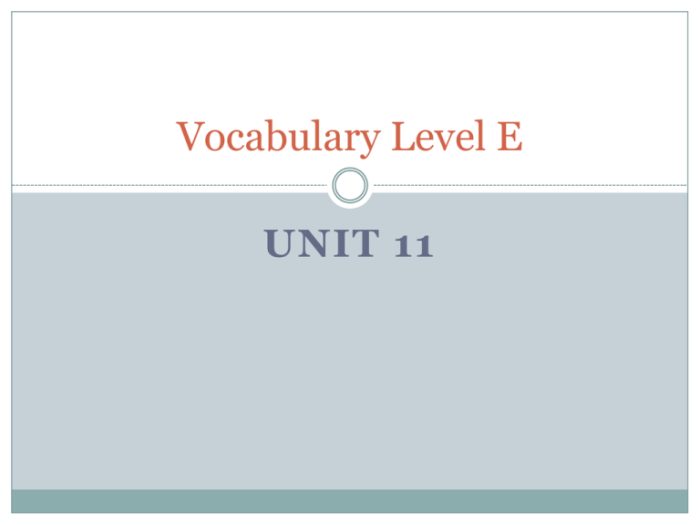 Vocabulary level e unit 5