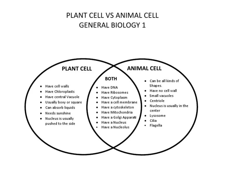 Animal cells vs plant cells venn diagram