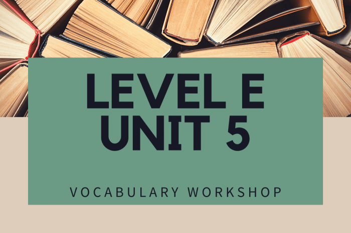 Vocabulary level e unit 5