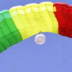 What colour is your parachute quiz