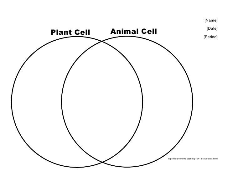 Animal cells vs plant cells venn diagram