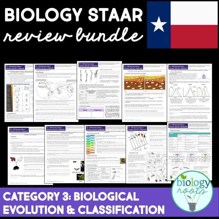 Staar reporting category 1 cell structure and function answers