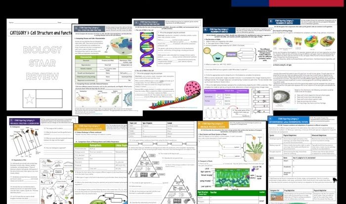 Staar reporting category 1 cell structure and function answers