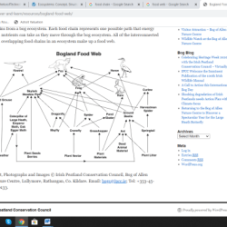 Modeling food webs in dariÃ©n panama answers