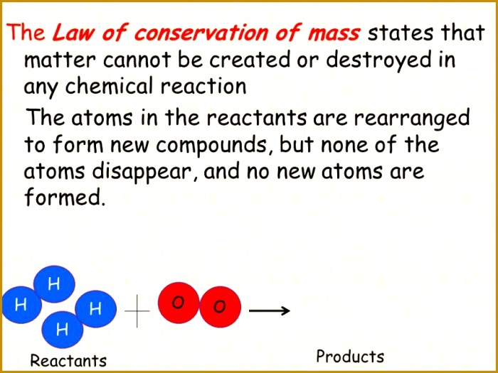 Staar reporting category 1 cell structure and function answers